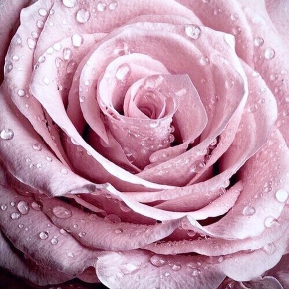 A/X Armani Exchange Pants - 🌸 Thank you! 🌸